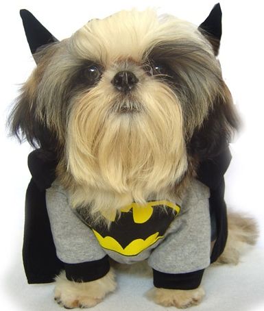 Batman Dog Costume